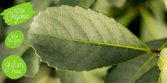 Oferta dla właścicieli sklepów z produktami BIO